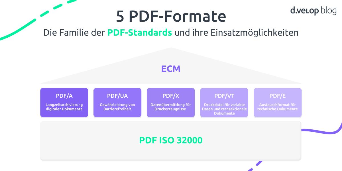 Infografik zeigt 5 PDF-Formate
